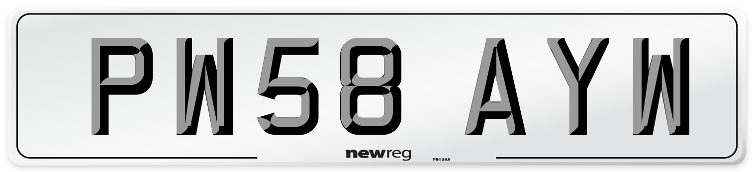 PW58 AYW Number Plate from New Reg